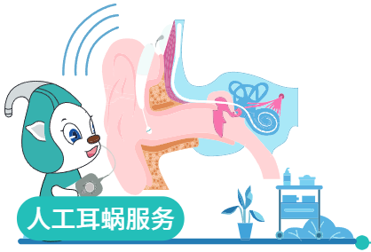 服务项目-图片3
